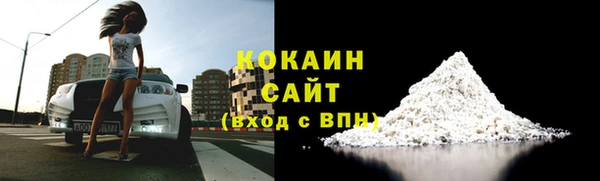 стафф Алексин