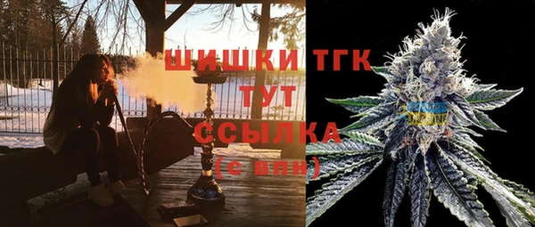 стафф Алексин